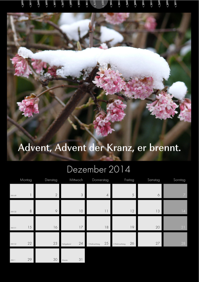 Dezember2012