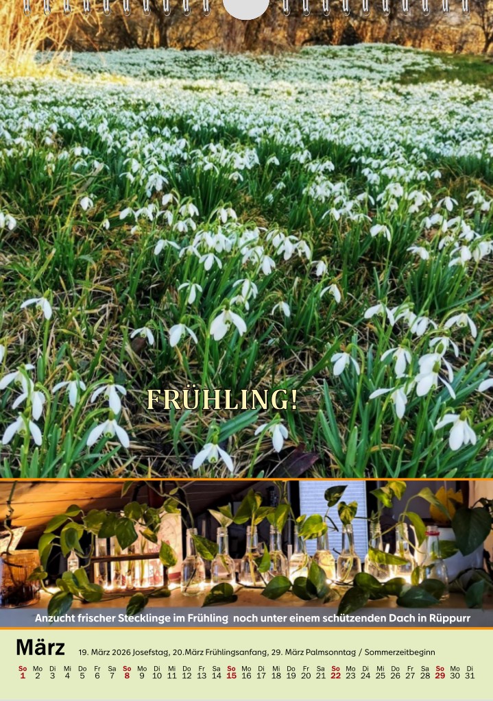 März2026